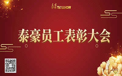 泰豪表彰 | 一路同行，“云”享慶典~